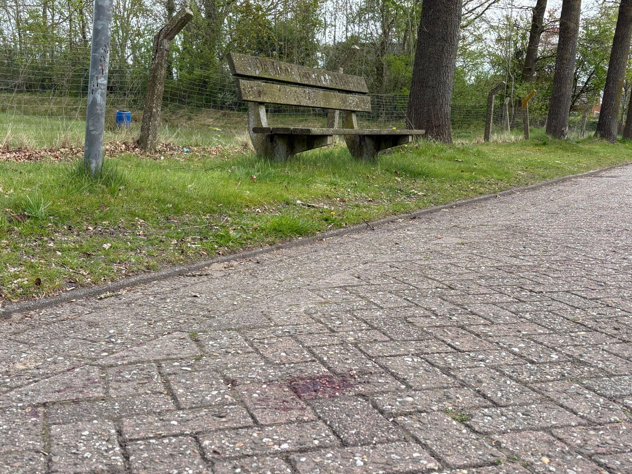 Heit van neergestoken jongen (16) uit Noardburgum: ‘Wy hienen him ek yn in kisje werom krije kind’