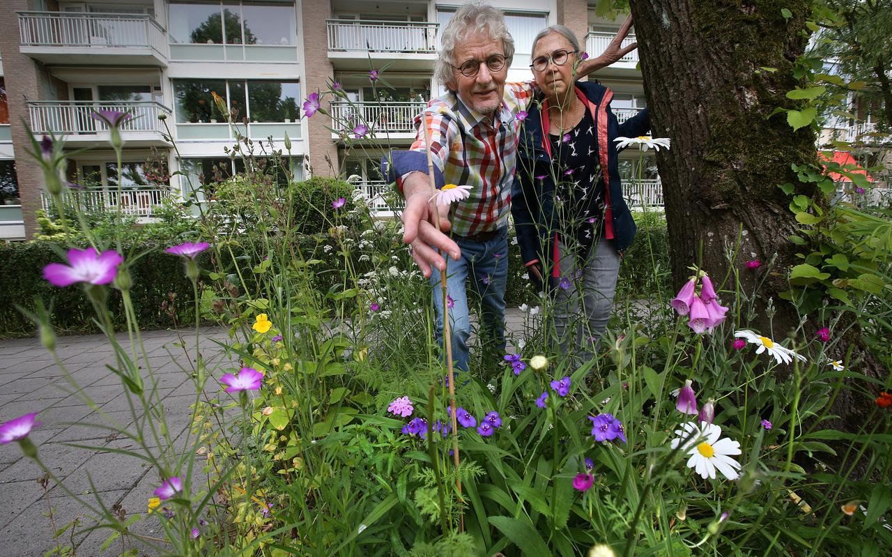 Jan van der Meer en Margriet Kampman bij een van hun vier boomspiegels aan de Verlengde Schrans. De wilde planten voor hun flat verzachten hun landschapspijn. Jan van der Meer en Margriet Kampman bij een van hun vier boomspiegels aan de Verlengde Schrans. De wilde planten voor hun flat verzachten hun landschapspijn.