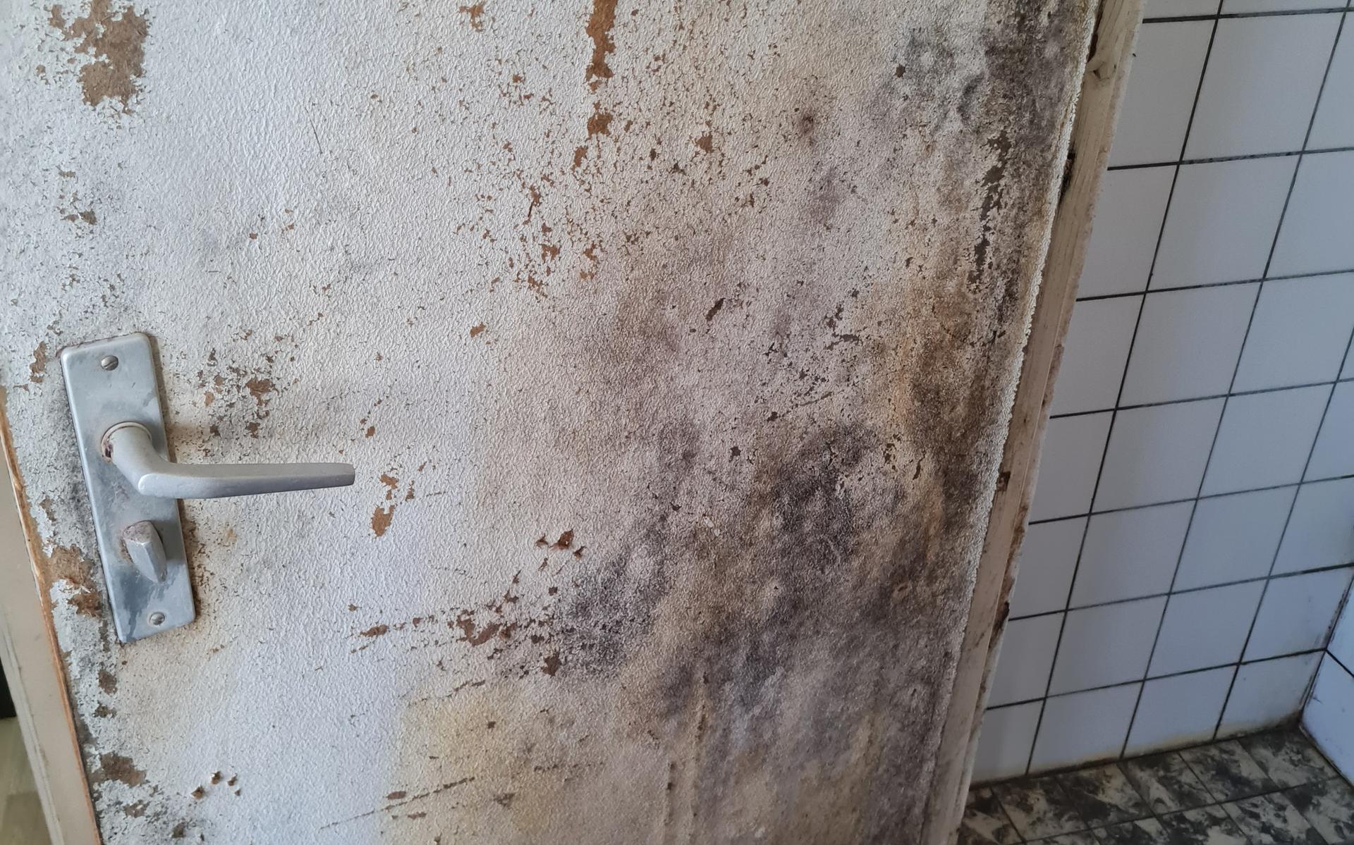 Een huis vol schimmel en kozijnen die wegrotten? Dit kan je zelf doen bij gebreken aan je