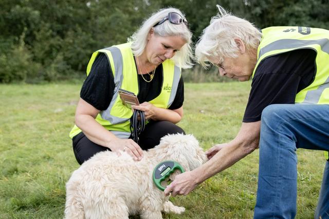 Vermiste dieren thuisbrengen is een grote passie van Boukje uit Heerenveen bij stichting Huisdierenh