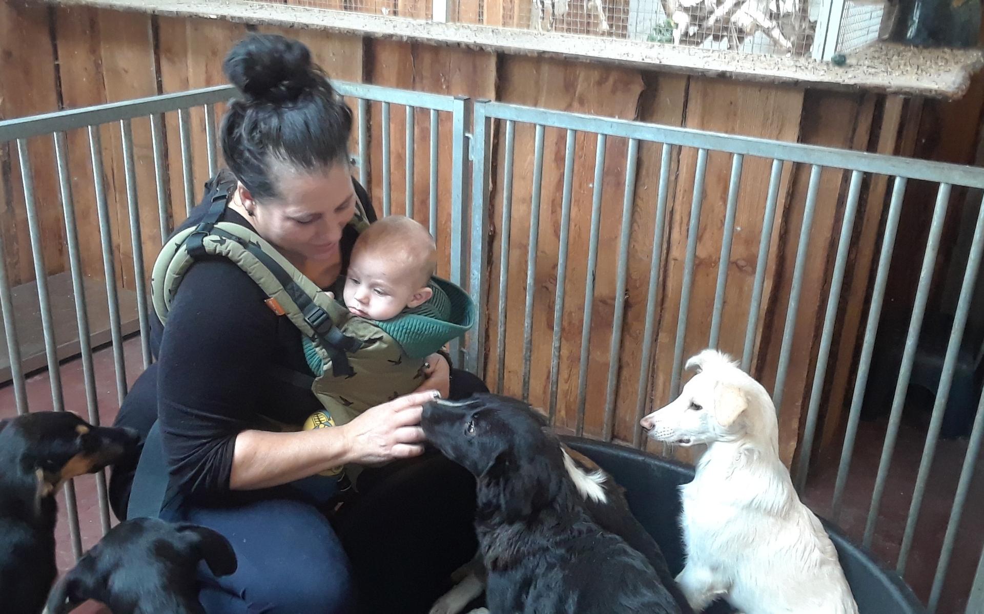 Vrijwilliger Diny Doedel met haar zoontje bij de puppy's