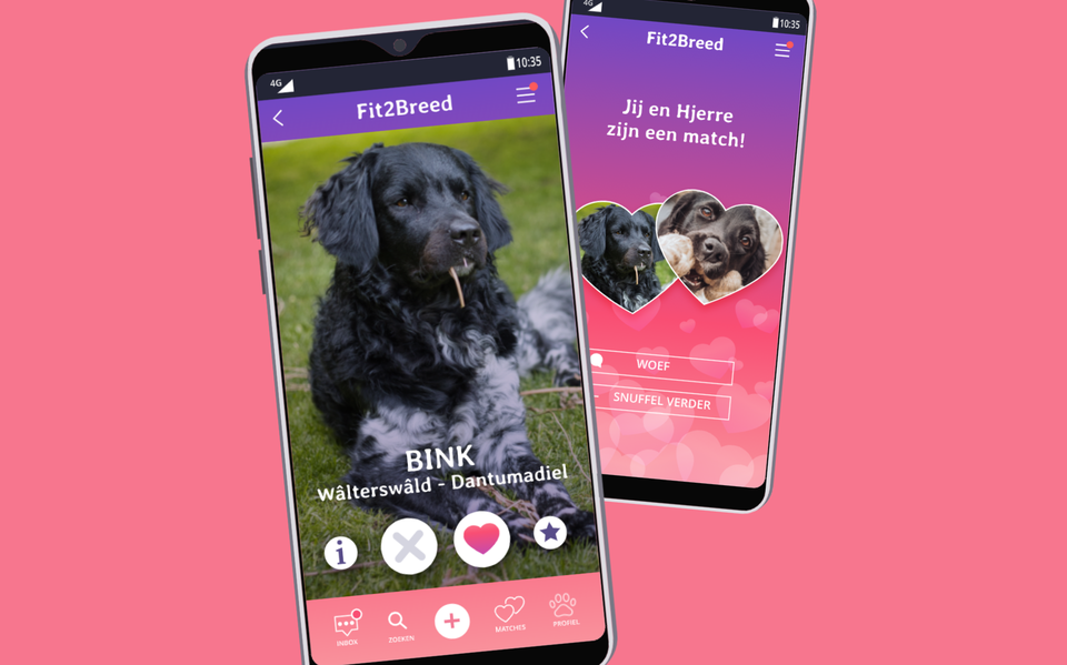 Een 'datingapp' voor Friese Stabijtjes.