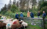 De Friese delegatie bij de schapen in Ekehaar. Van links naar rechts: schapenhouder Gerry Jobing, Gijsbert Six en de FNP'ers Sybren Posthumus, Sijbe Knol, Frank de Boer en Wopke Veenstra. 
