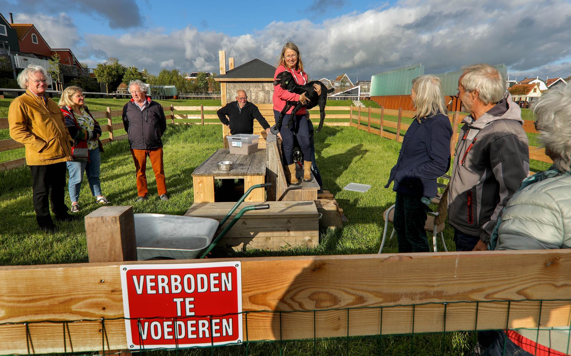 Geitjes zorgen voor verbinding in Stavoren: 'We hadden ook alpaca's kunnen kiezen, maar daar heb ik 