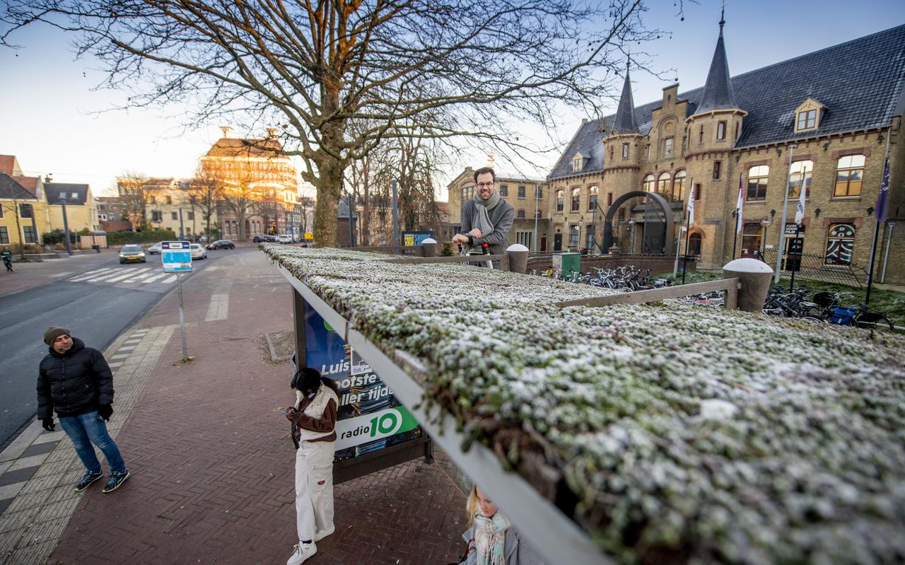 Evert Stellingwerf kijkt vanaf een trapje uit over de bushalte met nieuw groen dak voor De Blokhuispoort. Evert Stellingwerf kijkt vanaf een trapje uit over de bushalte met nieuw groen dak voor De Blokhuispoort.