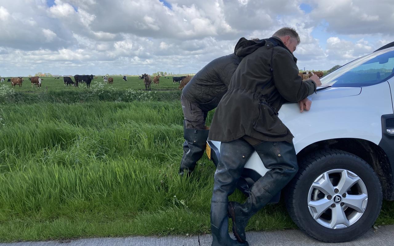 Het Wetterskip in actie. Hier ten zuidoosten van Leeuwarden tijdens een onderzoek naar invasieve exoten. Foto: LC Het Wetterskip in actie. Hier ten zuidoosten van Leeuwarden tijdens een onderzoek naar invasieve exoten. Foto: LC