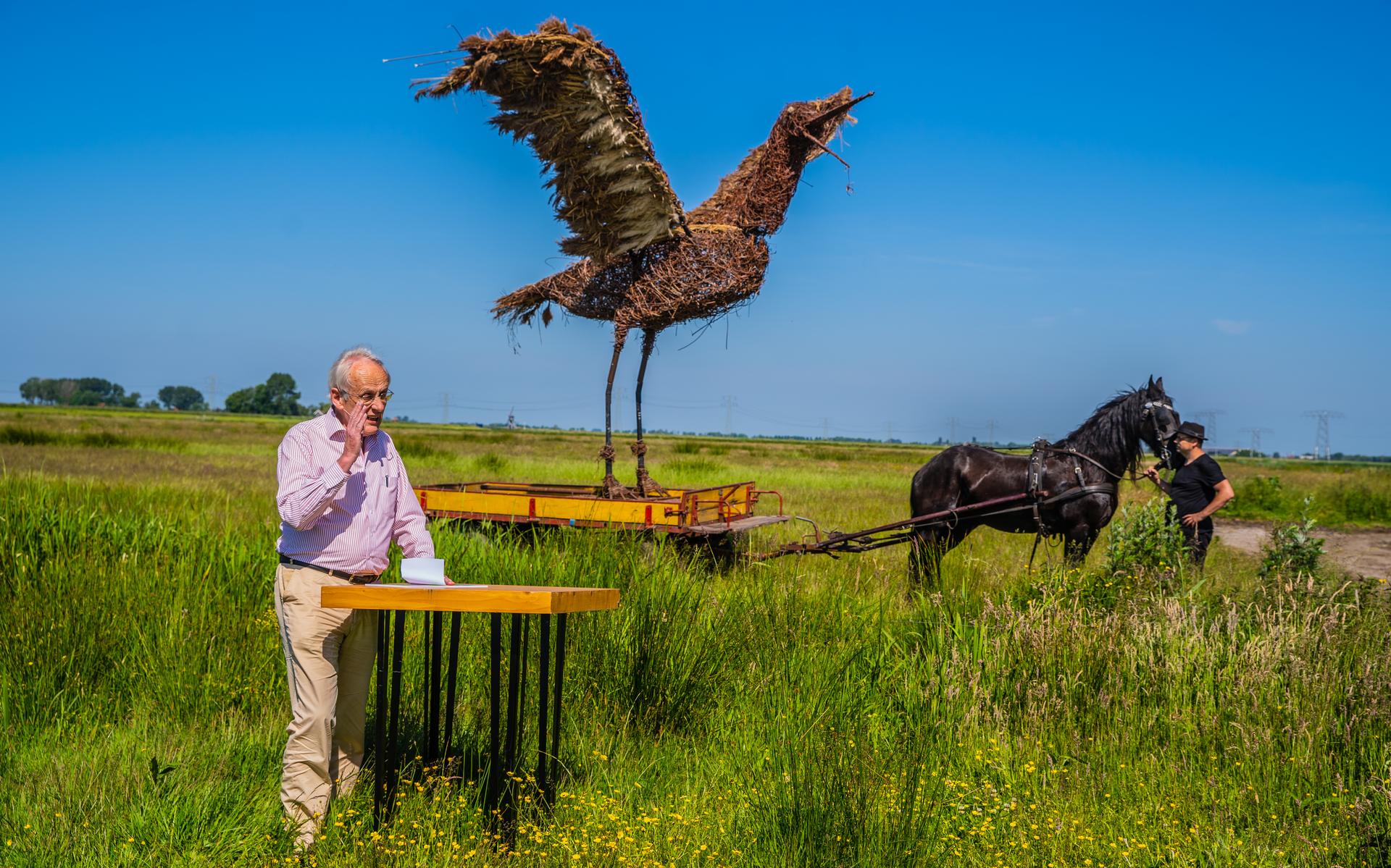 Vier vogelgebieden in Friesland in openingsronde Aanvalsplan Grutto - Leeuwarder Courant