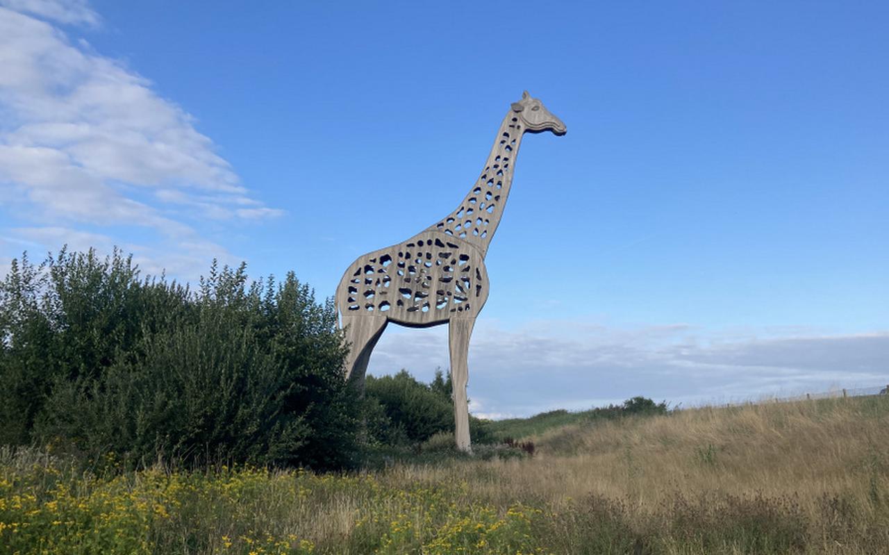 De 'Giraf' (2009) van Homme Veenema bij Klazienaveen.