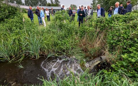 Het water stroomt in de Hoaitepolder bij Langweer. Door die vernatting stoot dit veengebied minder broeikasgassen uit. 