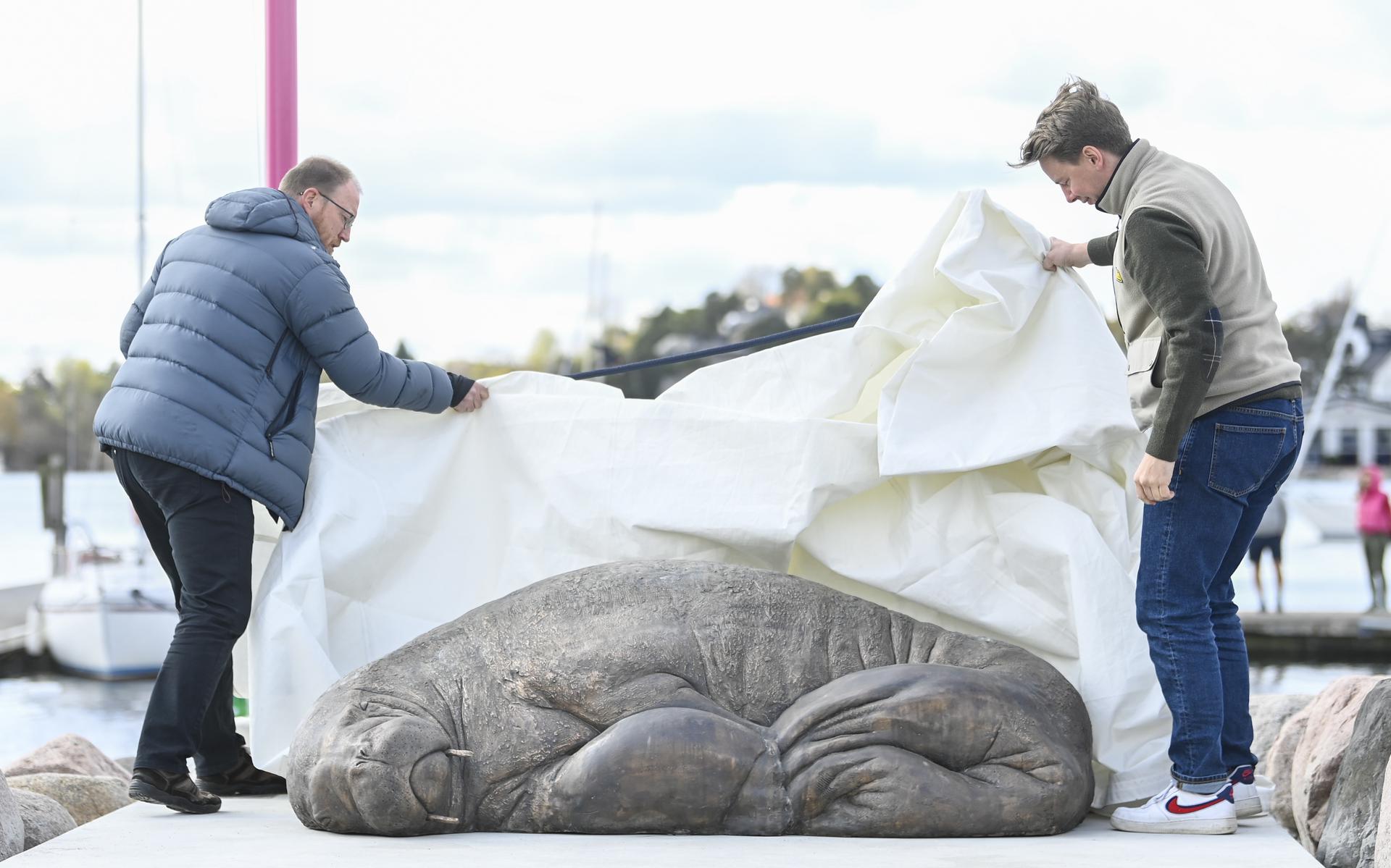 Onthulling van het standbeeld voor walrus Freya in Oslo.
