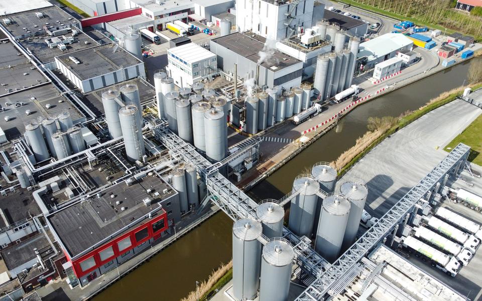 De kaasfabriek van FrieslandCampina in Workum.