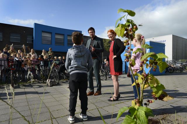 Leerlingen IKC Wynwizer uit Leeuwarden maken compost van eigen afval. ‘Mogen we aardappelschillen va
