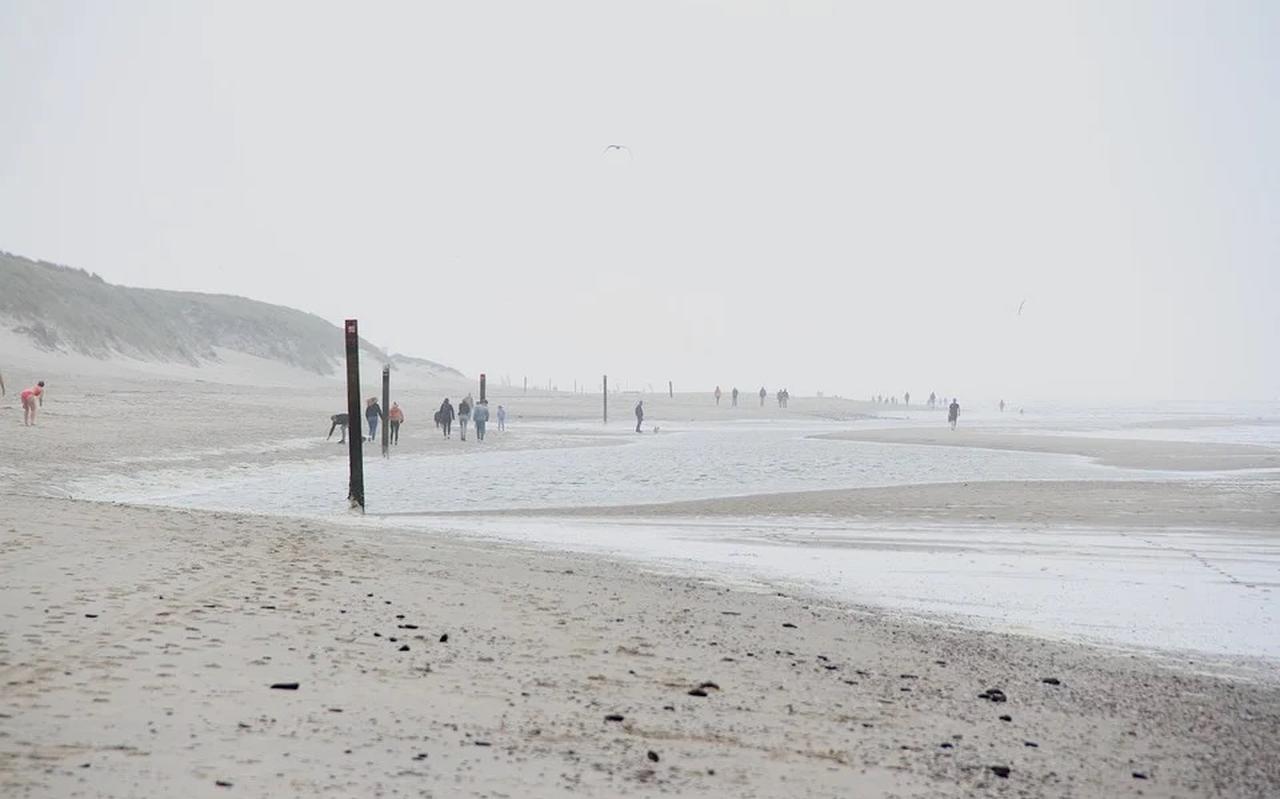 Strand op Texel. Strand op Texel.