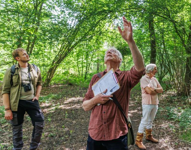 Ze stonden er allang, maar we wisten het niet: ecoloog ontdekt 35 nieuwe, eeuwenoude Friese bossen