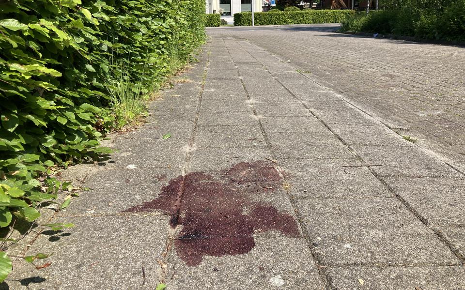 Een opgedroogde plas bloed in de Dirk Janszstraat in Sint Annaparochie. 