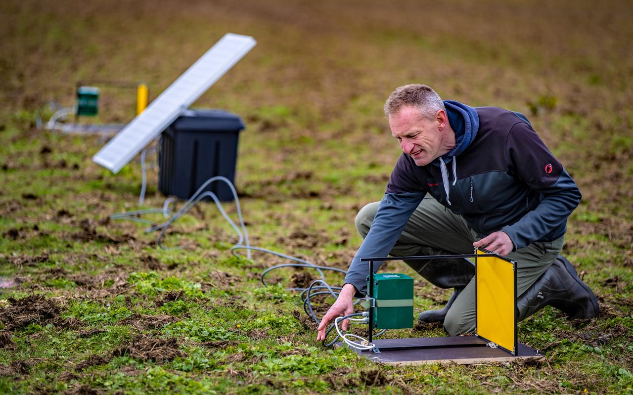 Jos Hooijmeijer bij de cameraval van Naturalis, die iedere 10 seconden de insecten op het gele vlak vastlegt. Jos Hooijmeijer bij de cameraval van Naturalis, die iedere 10 seconden de insecten op het gele vlak vastlegt.