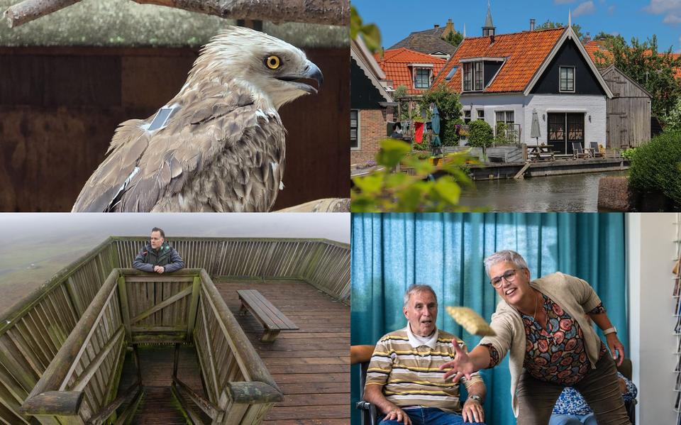 Beeld: