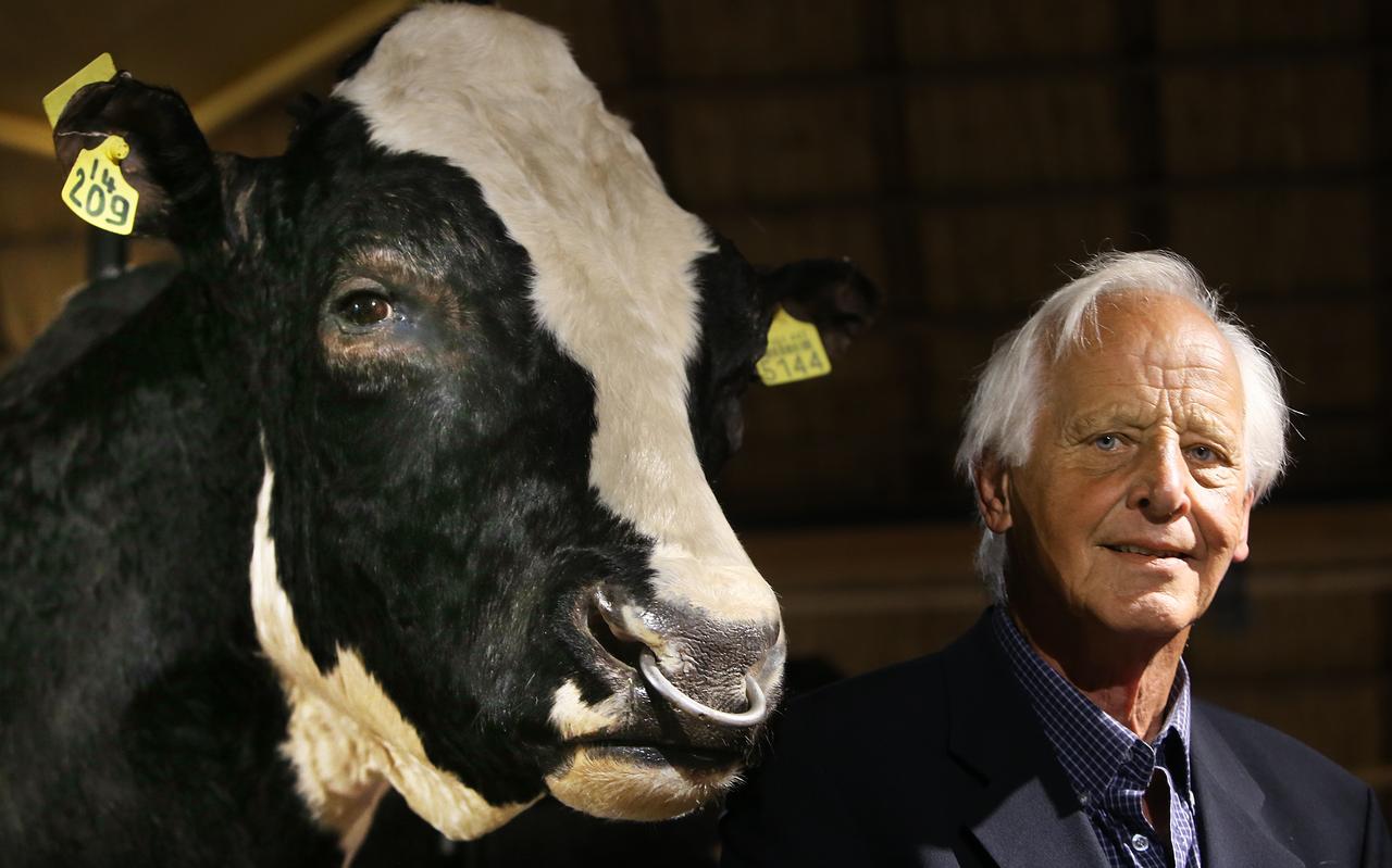 De kop van Sunny Boy is te bezichtigen in het Fries Landbouwmuseum. Fokker van de beroemde topstier is Minne Blanksma uit Schalsum. De kop van Sunny Boy is te bezichtigen in het Fries Landbouwmuseum. Fokker van de beroemde topstier is Minne Blanksma uit Schalsum.