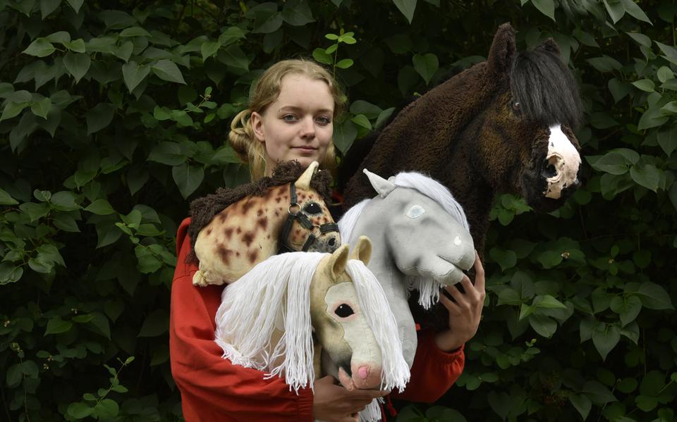 Isolde van der Ven en haar handgemaakte Hobby Horses.
