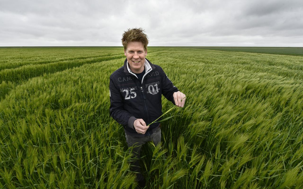 Andries Jensma in een perceel wintergerst. Andries Jensma in een perceel wintergerst.