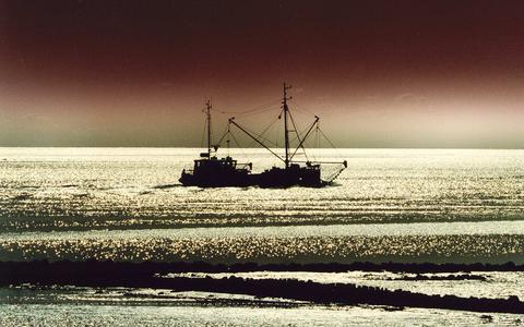 Visserij op de Waddenzee: regels zijn goed, maar compleet verbieden zou geen optie moeten zijn.