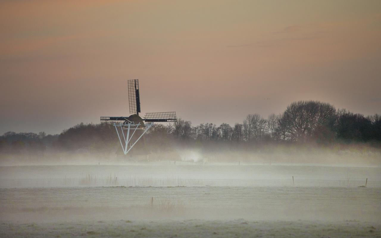 De molen in de Ryptsjerksterpolder bij Ryptsjerk. In 2040 moet Noordoost-Friesland een regio zijn waar jong en oud zich wil vestigen. FOTO: MARCEL VAN KAMMEN