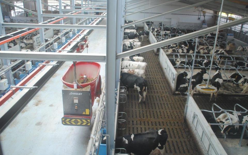 DSM liet bij de Dairy Campus in Leeuwarden onderzoek doen naar zijn methaanremmende middel.