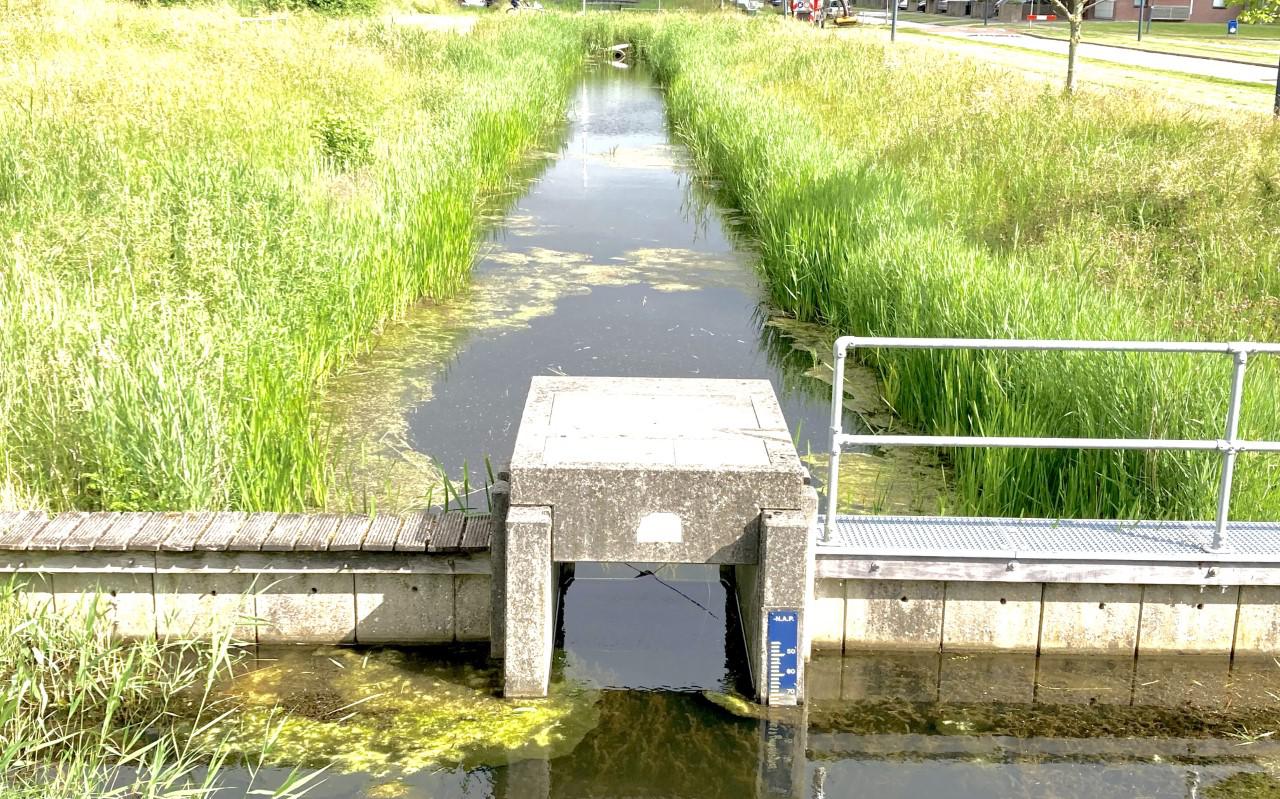 Waterbeheer in de Leeuwarder wijk Zuiderburen.