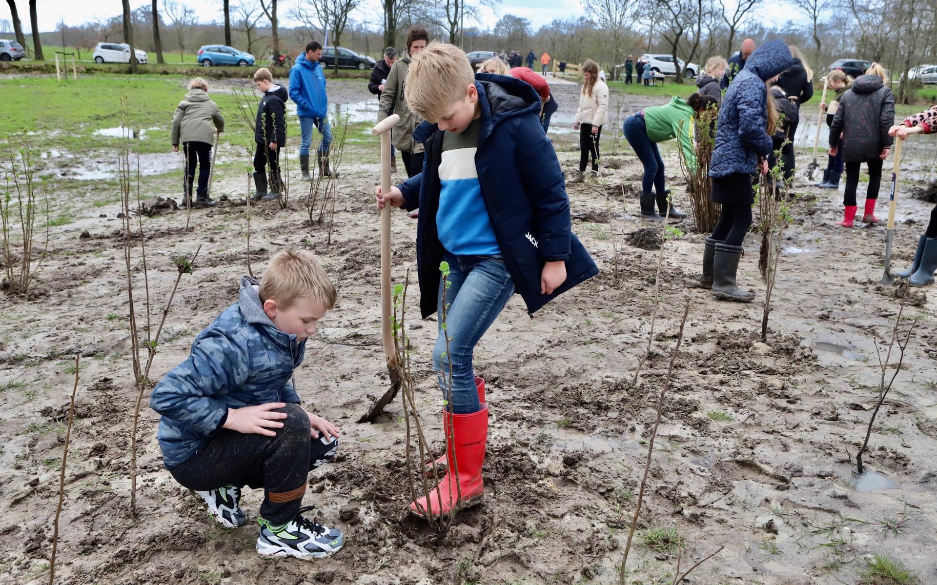 Leerlingen van basisschool De Leister Igge planten de laatste van de 6500 bomen voor het Reindersmabosk.