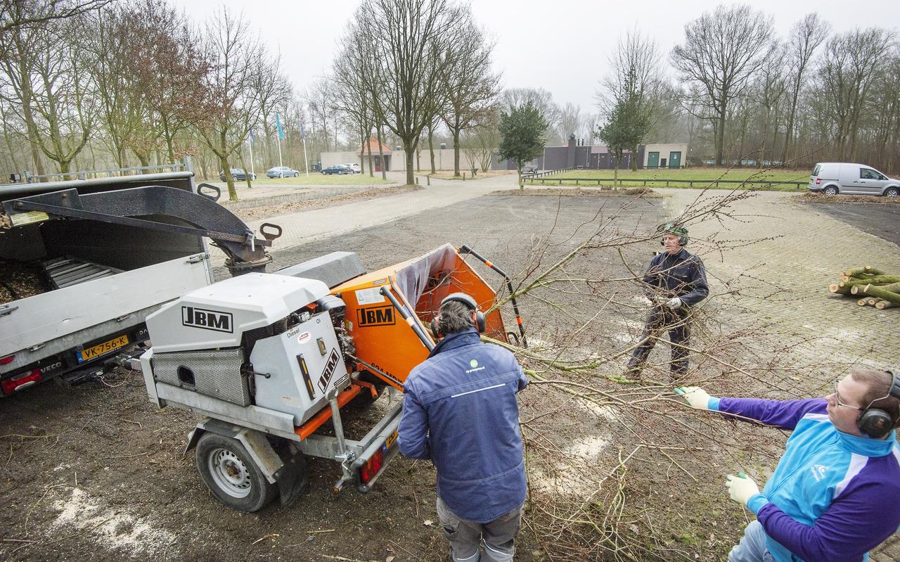 Badmeesters Andreas Veltman (lichtblauwe jas), Fred Spindelaar (donkerblauwe jas) en Kees Leopold (groene helm) zijn tijdelijk actief als hovenier bij zwembad It Paradyske. Badmeesters Andreas Veltman (lichtblauwe jas), Fred Spindelaar (donkerblauwe jas) en Kees Leopold (groene helm) zijn tijdelijk actief als hovenier bij zwembad It Paradyske.