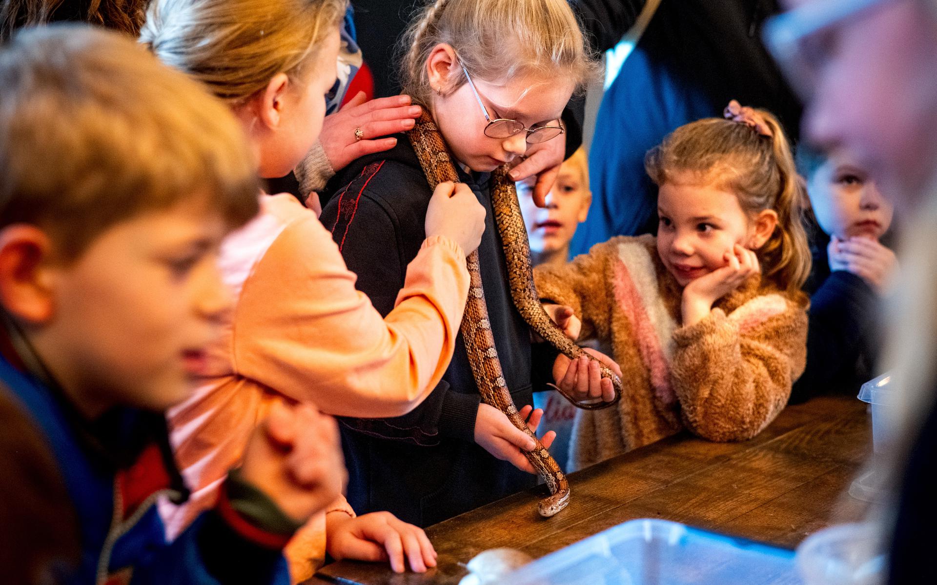 I bambini vengono introdotti ai rettili al De Naturij a Drachten.  “Mi piace l'animale che solletica di più”