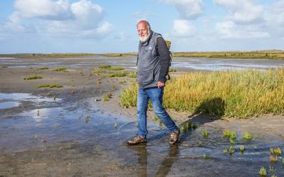 Duinenkenner Piet Zumkehr passeert op de Noordsvaarder een pol Engels slijkgras. In Engeland een woekerende soort. ,,Maar hier niet." 
