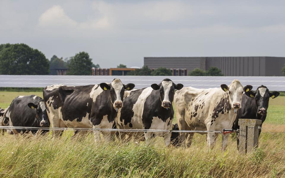 Het zonnepark bij Oosterwolde. Provincies moeten bedenken hoe ze invulling geven aan de rumtelijke claims voor landbouw, natuur, duurzame energie, wonen en economie. 