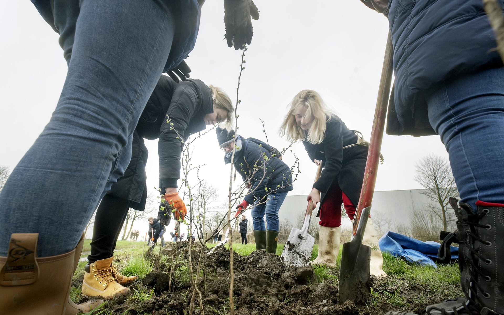 Sla je de kamerschoonmaak over? Dan planten zij een struik. Woensdag verrezen er 600 in Stroobos