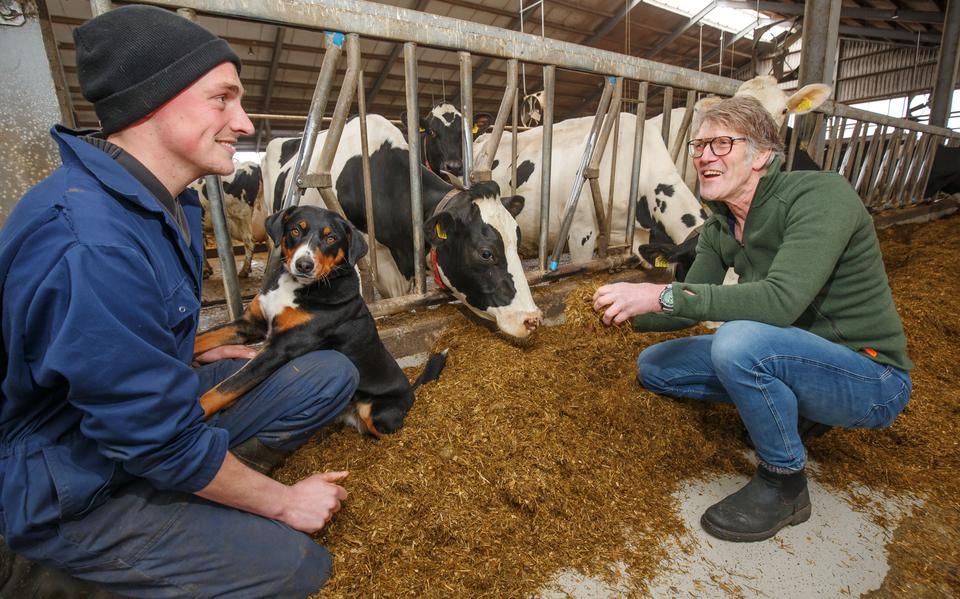 Henry van Ittersum adviseert melkveehouder Sieger Neimeijer in Donkerbroek.