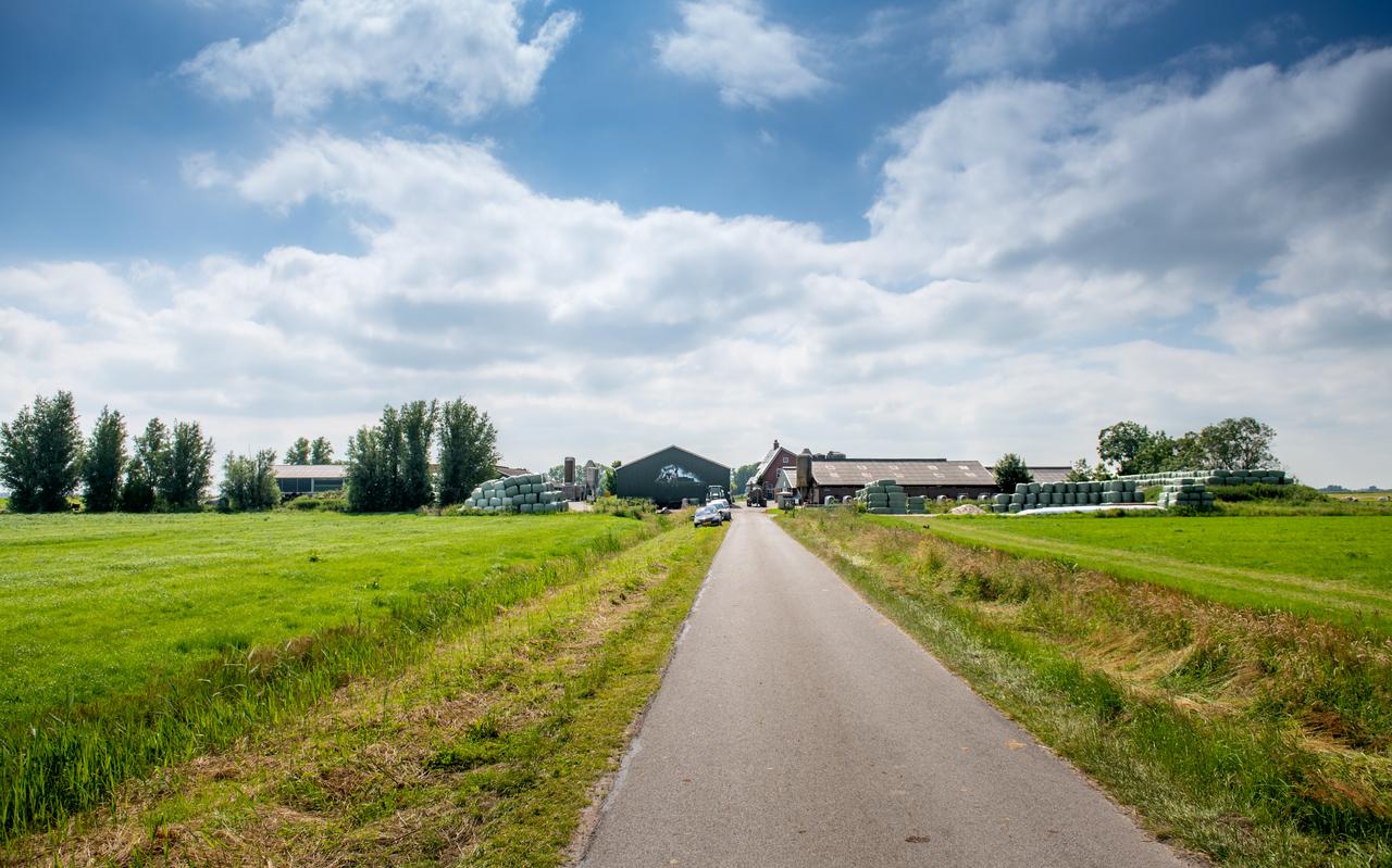 Buurtschap Sytebuorren, aan het eind van de doodlopende weg door de landbouwpolder, moet wat de ontwerpgroep betreft sowieso droog blijven. Vanuit Sytebuorren gaat een fietspont naar eiland De Burd bij Grou. Foto: Jilmer Postma Buurtschap Sytebuorren, aan het eind van de doodlopende weg door de landbouwpolder, moet wat de ontwerpgroep betreft sowieso droog blijven. Vanuit Sytebuorren gaat een fietspont naar eiland De Burd bij Grou. Foto: Jilmer Postma