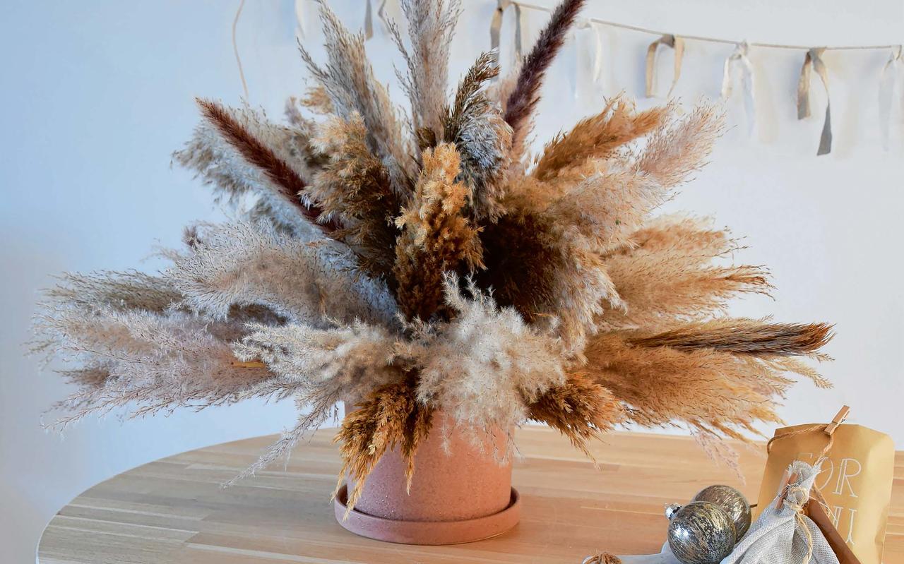Maak je eigen fluffy pluimen pampasboom. Maak je eigen fluffy pluimen pampasboom.