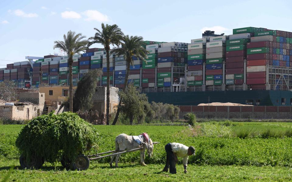 Een boer werkt aan het Suez-kanaal onverdroten door terwijl op de achtergrond gepoogd wordt de Ever Given vlot te trekken.