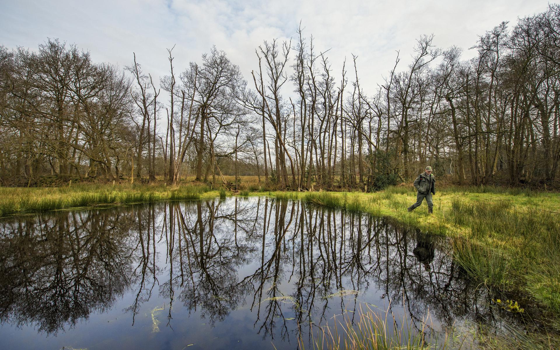 De BBB voelt er niks voor om in Friesland nu al extra arealen te reserveren voor natuurvriendelijke landschapselementen.