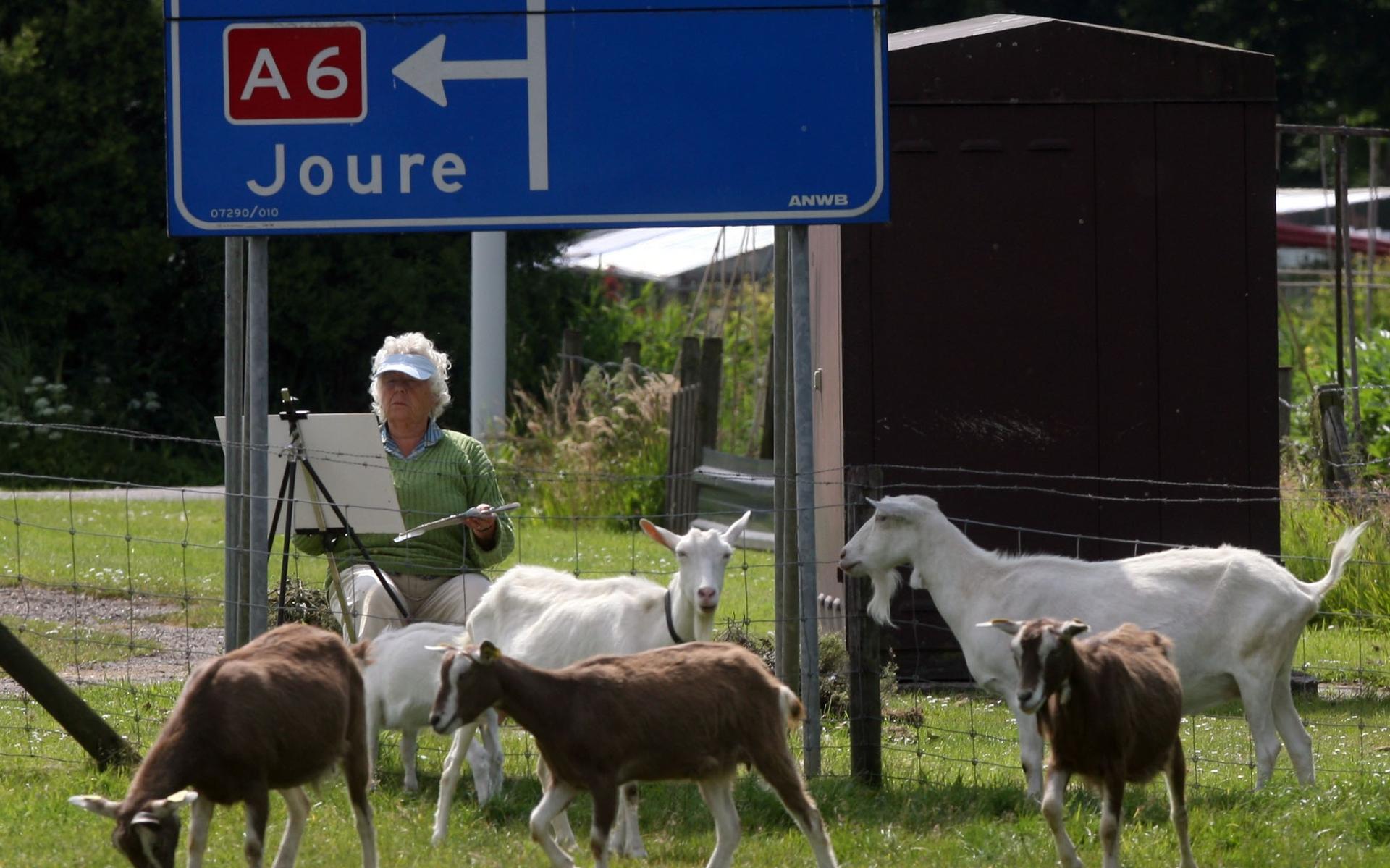 Nieuw provinciebestuur spaart kool en geit in nieuw akkoord: blijft