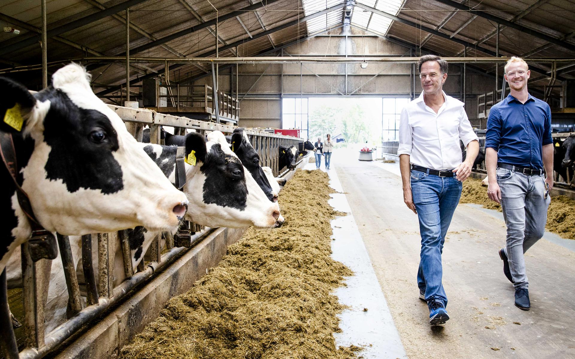 Minister-president Mark Rutte krijgt een rondleiding op een melkveebedrijf voorafgaand aan een gesprek met boeren over de stikstofplannen. 