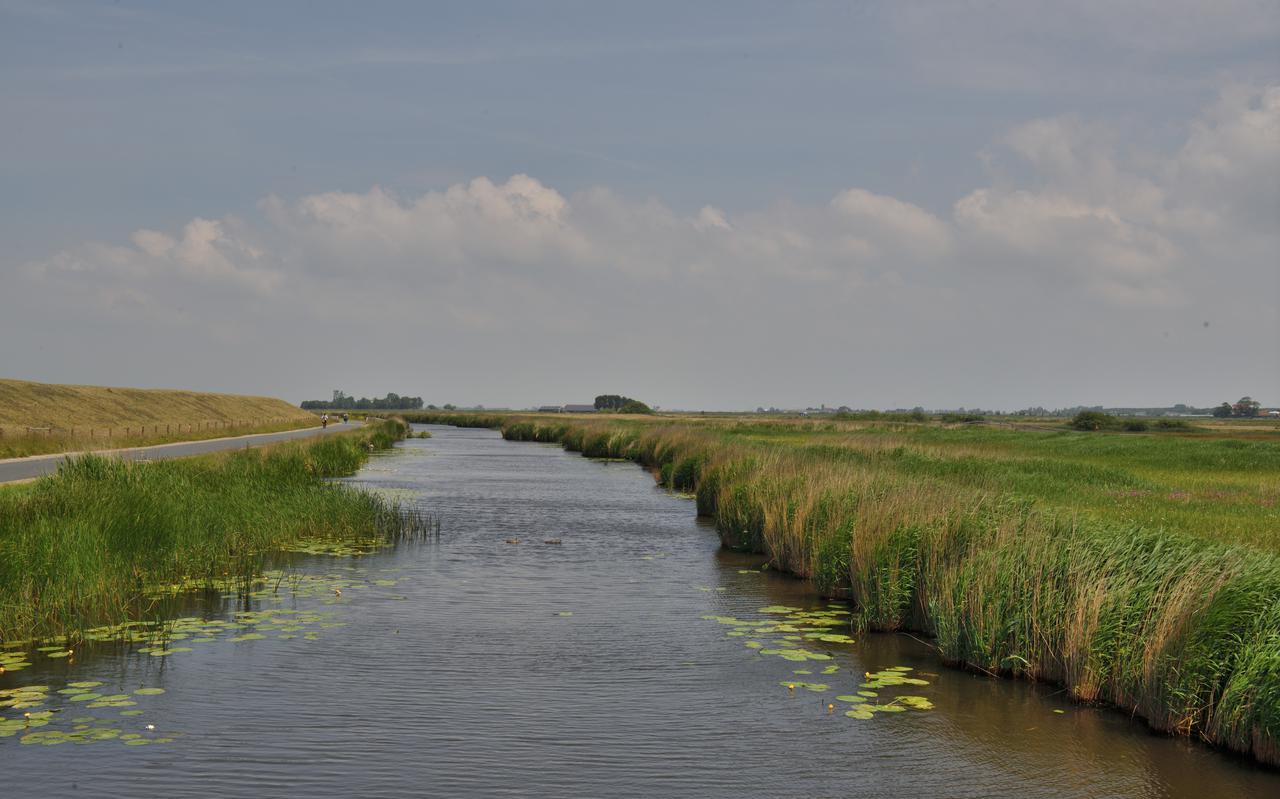 Onder meer natuurvriendelijke oevers en vispassages moet het watermilieu verbeteren. Foto: Provincie Fryslân