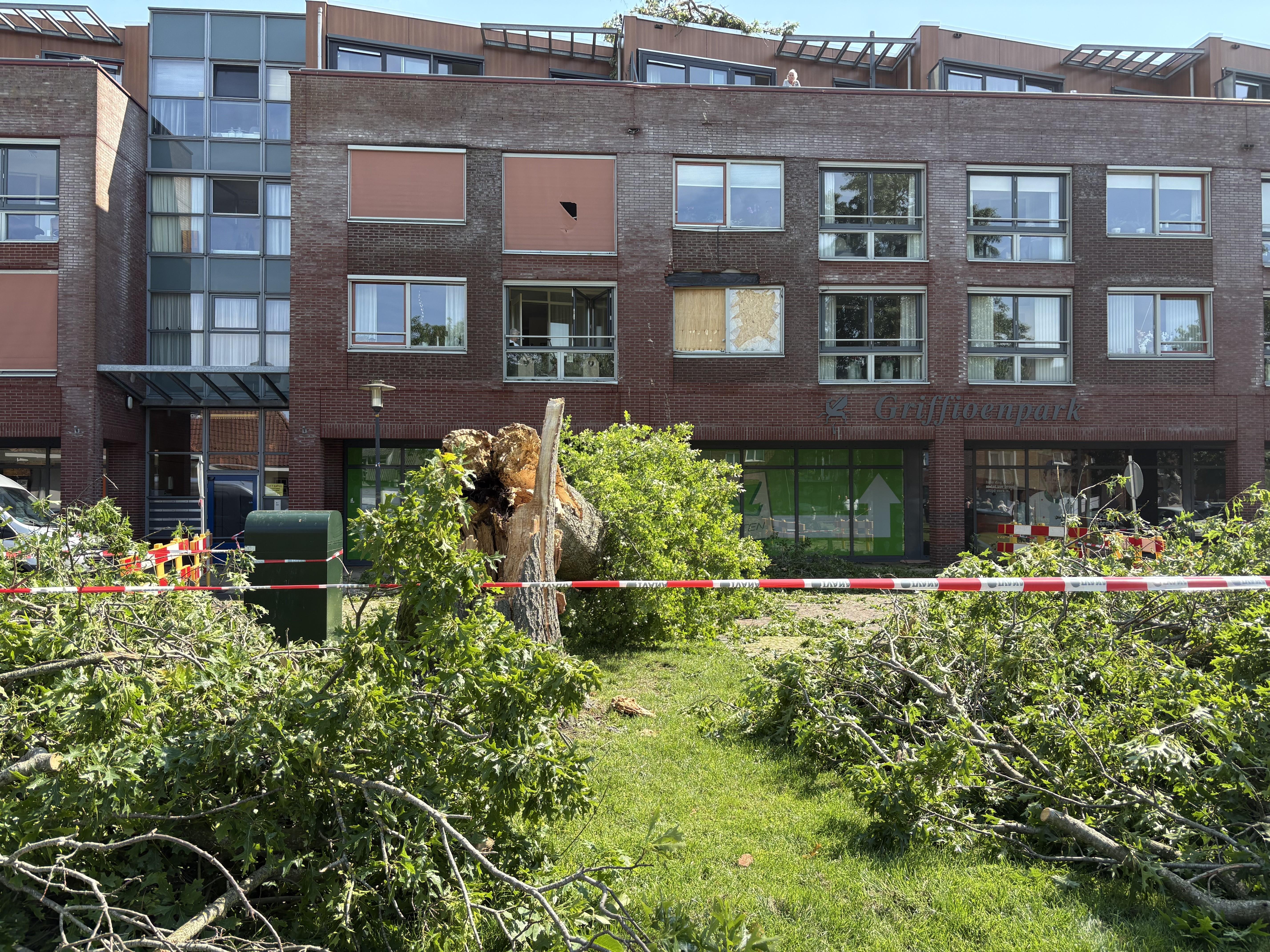 Boom valt bij Anna (91) uit Wolvega op het dak. 'Ik heb het altijd een beetje eng gevonden'