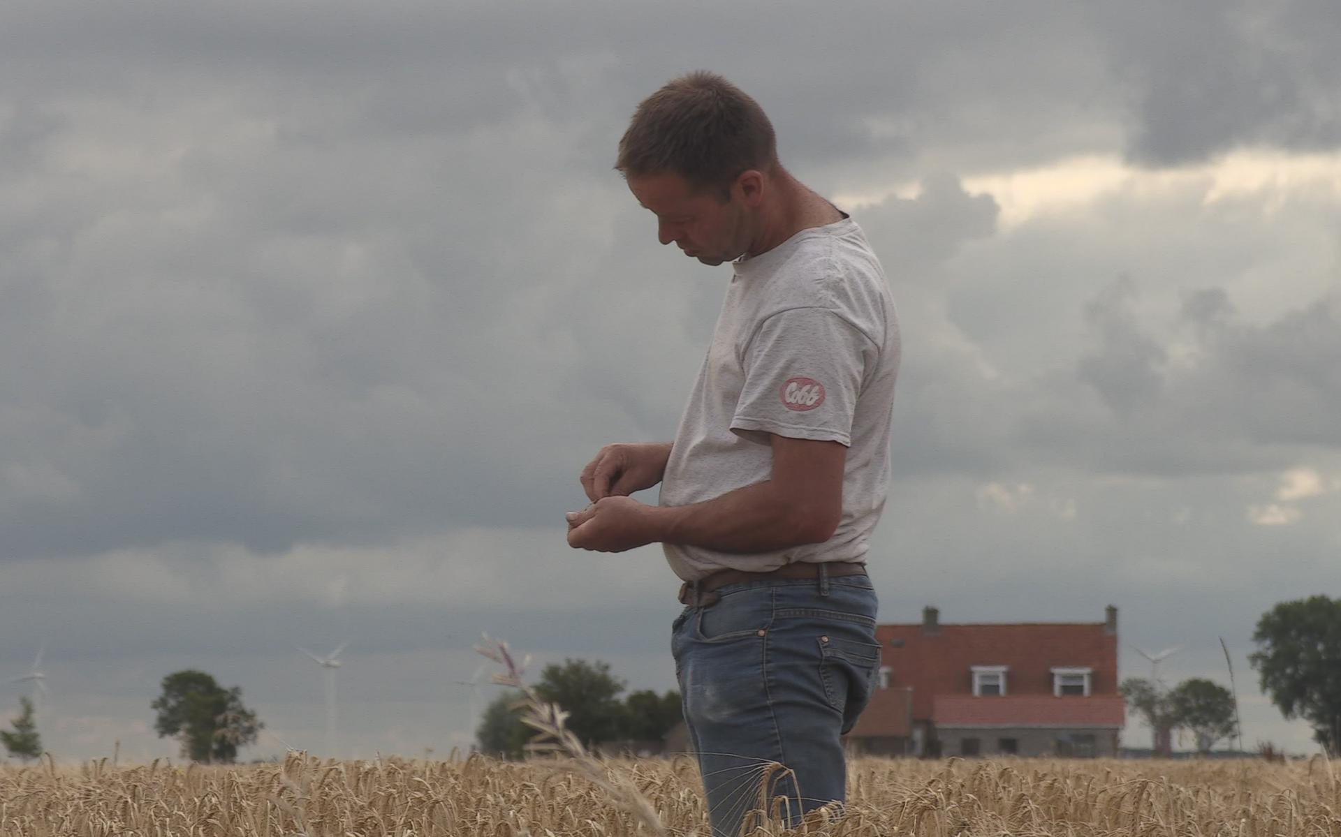 Zeven Friese boeren omarmen de bodem in de nieuwe documentaire van Rob Busquet uit Oudemirdum: 'De b