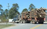 Een truck in de Amerikaanse staat Noord-Carolina is volgeladen met hout voor de productie van pellets. FOTO DOGWOOD ALLIANCE