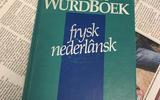 Frysk Wurdboek. s