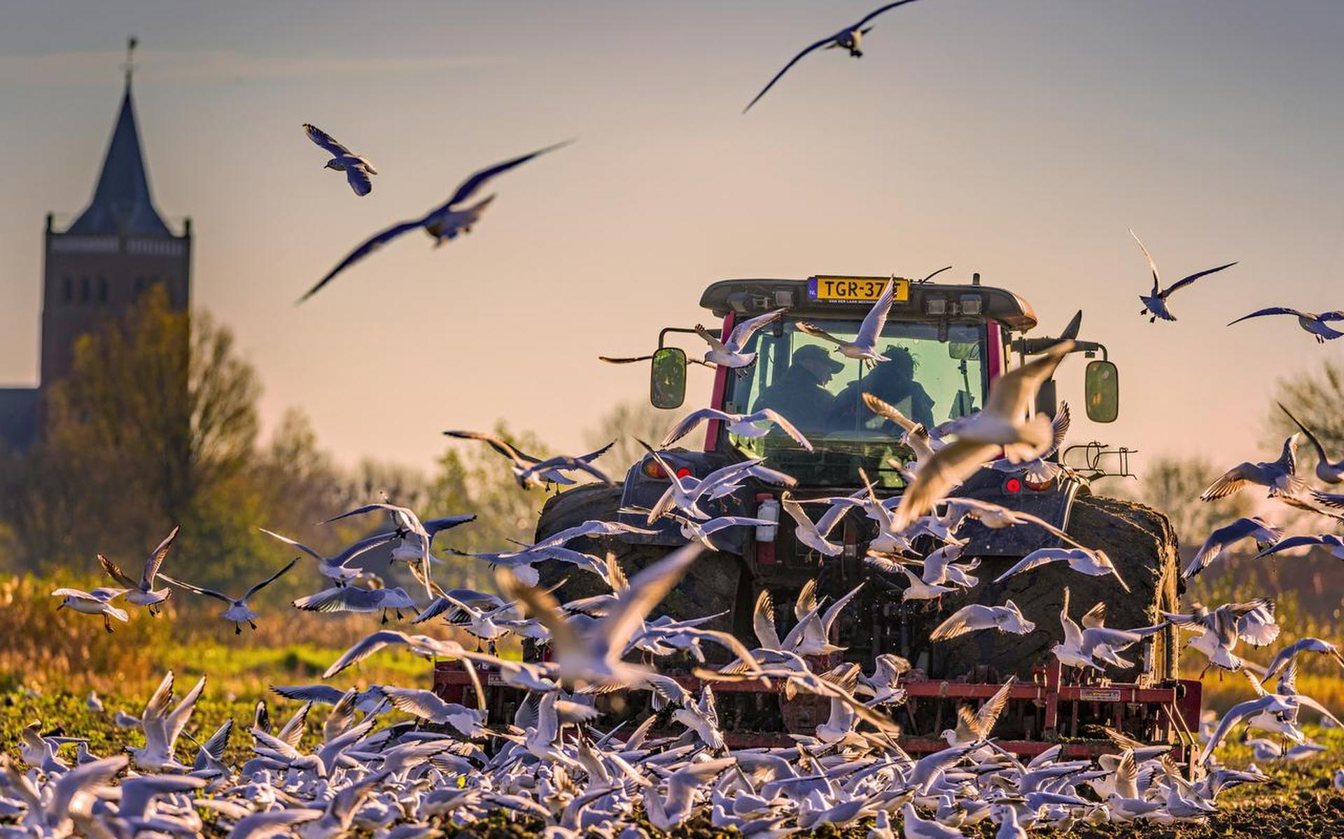 ‘Door de enorme financiële belangen zijn de gevolgen van de intensivering van de landbouw voor de natuur te lang onvoldoende aangepakt.’