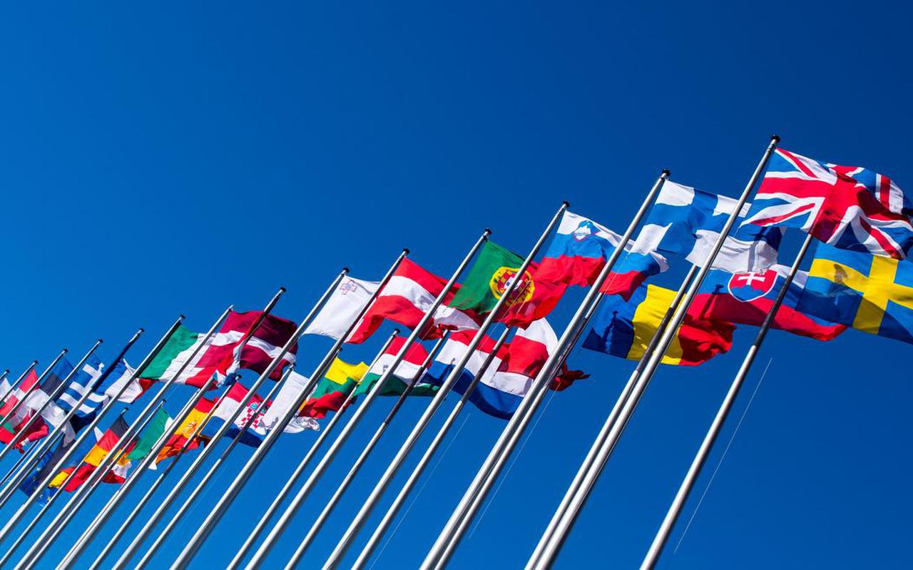 Vlaggen van Europese landen bij het Europarlement.  Foto ANP/LEX VAN LIESHOUT