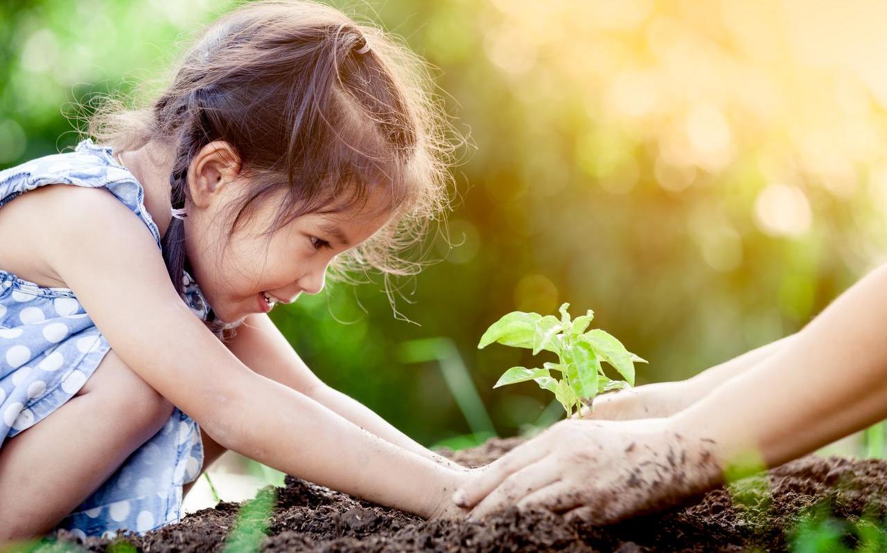 ‘Bijna een kwart van de kinderen met intensieve ondersteuning wordt later alsnog uit huis geplaatst.’ FOTO SHUTTERSTOCK ‘Bijna een kwart van de kinderen met intensieve ondersteuning wordt later alsnog uit huis geplaatst.’ FOTO SHUTTERSTOCK
