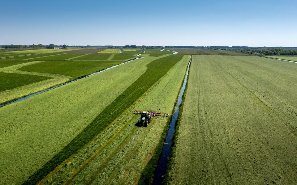 Het veenweidegebied nabij de Fjûrlânswei tussen Aldeboarn en het natuurgebied de Deelen is één van de zes veengebied waar het waterpeil omhoog moet.